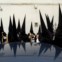 ESPANHA, 25.03.2013. Penitentes aguardam para participar na procissão de Santa Genoveva durante a Semana Santa em Sevilha 