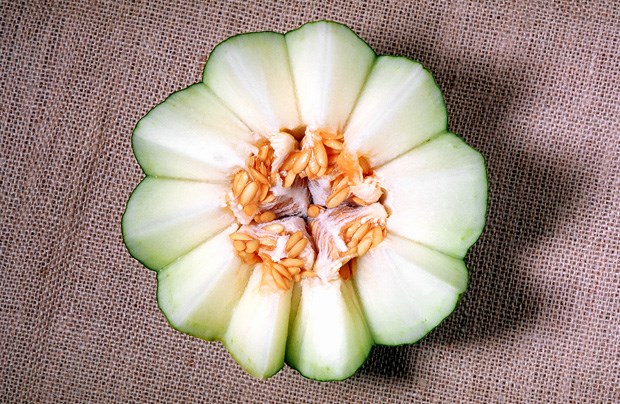A meloa e o melão são particularmente ricos em vitamina C