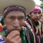 Os andinos mascam coca para melhor superarem dificuldades causadas pela altitude, cansaço ou fome 