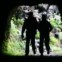 A Caminhos da Natureza propõe travessia por levadas, cumes e bosques de Laurissilva na Madeira