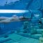 2.º Siam-Park, Espanha
