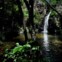 Bufareira no Penedo Furado, Vila de Rei 