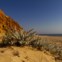 Praia do Pinheirinho (Grândola)