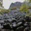 numa floresta de faias, toneladas de pedras deslizaram de um vulcão