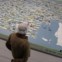 Em Lisboa, pode ser visto de 2 a 18 de Agosto