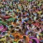 CHINA, 27.7.2013. Uma multidão numa piscina de ondas artificiais em Daying 