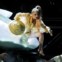 Uma das aparições mais curiosas da cantora. Lady Gaga chegou dentro de um ovo para os Grammy Awards 2011