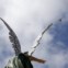 MALTA, 14.08.2013. Um pombo voa sobre a estátua de um anjo em Mgarr 
