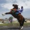 IÉMEN, 19.08.2013.  Um beduíno cavalga durante o festival de Verão Sanaa, destinado a promover o Iémen como destino turístico