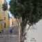 Todos - Caminhada de Culturas por São Bento