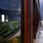 Comboio pelo Douro