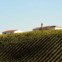 Douro