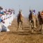 Vanishing & Emerging Cultures, louvor, Jason Edwards (Austrália): Corrida de camelos em Omã