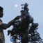 Ruben Miraflor, de 15 anos, sobrevivente do supertufão Haiyan, decora uma árvore de Natal em Magalhães (Magallanes, assim baptizada em homenagem a Fernão de Magalhães)