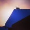Real onírico: uma rena no telhado, uma imagem divulgada no Instagram do hotel