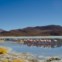 Bolívia. De Salar de Uyuni a San Pedro de Atacama 