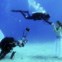 ISRAEL, 22.10. 2013. Uma sessão fotográfica subaquática entre noivos no Mar Vermelho, em Eilat. Sessão para o Red Sea shootout, competição de fotografia subaquática 
