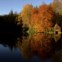 ESCÓCIA, 5.11.2013. O Outono reflectido no lago Dunmore, perto de Pitlochry