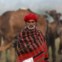 ÍNDIA, 10.11.2013. Na grande feira de Pushkar, no Rajastão, onde os camelos são uma das atracções maiores (para venda e corridas)