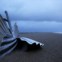 INGLATERRA, 21.11.2013. Na praia de Aldeburgh, uma escultura de Maggi Hambling, 