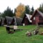 As casas na floresta são uma das opções de alojamento mais sui generis da Estónia