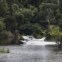 De hidroavião na Amazónia