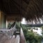 Juma Amazon Lodge, hotel na selva