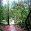 Parque da Pena, Sintra