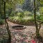 Parque da Pena, Sintra