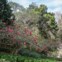 Parque da Pena, Sintra