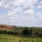 Alentejo, Vidigueira, Herdade do Rocim