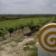 Herdade dos Perdigões,