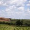 Alentejo, Vidigueira, Herdade do Rocim