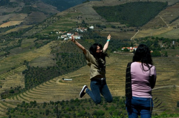 Douro Wine Fest, para celebrar o vinho e as vindimas