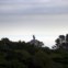 Melhor companhia de conservação - Parques de Sintra - Monte da Lua
