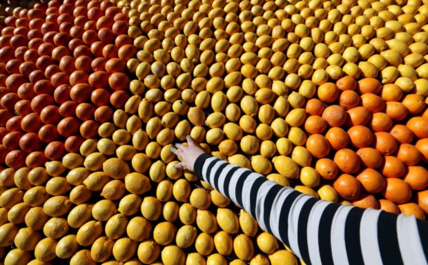 Hortícolas, leguminosas ou fruta, frutos gordos, sementes, carne, peixe, ovos, azeite, arroz, água são tudo exemplos de alimentos sem lista de ingredientes e sem versões light nos quais deve assentar grande parte da nossa alimentação.
