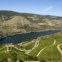 Para a Afar, o vale do Douro é uma das “mais encantadoras e menos conhecidas regiões de vinhos da Europa”