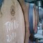 Da Quinta da Fata, um Touriga
Nacional 2009
