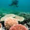 E navegar
num submergível
para espeitar da
janela a Grande
Barreira de Coral
australiana?