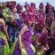 Madeira, Festa da Flor