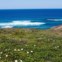 Parque Natural do Sudoeste Alentejano e Costa Vicentina, Carrapateira