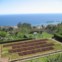 Funchal, vista do Jardim Botânico