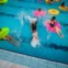 Público no Palco Piscina