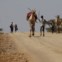Um concorrente corre atrás do seu camelo durante uma corrida do Maralal Camel Derby