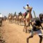 Concorrentes montam os seus camelos durante uma corrida do Maralal Camel Derby
