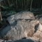 Penedo dos Sinais – No sopé da colina onde se encontra a Citânia de Briteiros, esconde-se, entre a vegetação um conjunto de gravuras rupestres praticamente desconhecidas, conhecidas como Penedos dos Sinais. A pedra em causa tem um comprimento de quase 7 metros e quase duas dezenas de desenhos, espalhados, de forma bastante uniforme, pela sua superfície. A melhor hora para visitar o lugar é durante a noite.