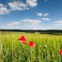 Saarland