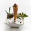 O minicone de lagostim e carabineiro, cortesia de  Miguel Gameiro