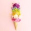 Gelados para a Primavera