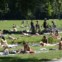Englischer Garten